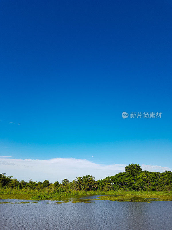 马德罗港Costanera Sur生态保护区海岸